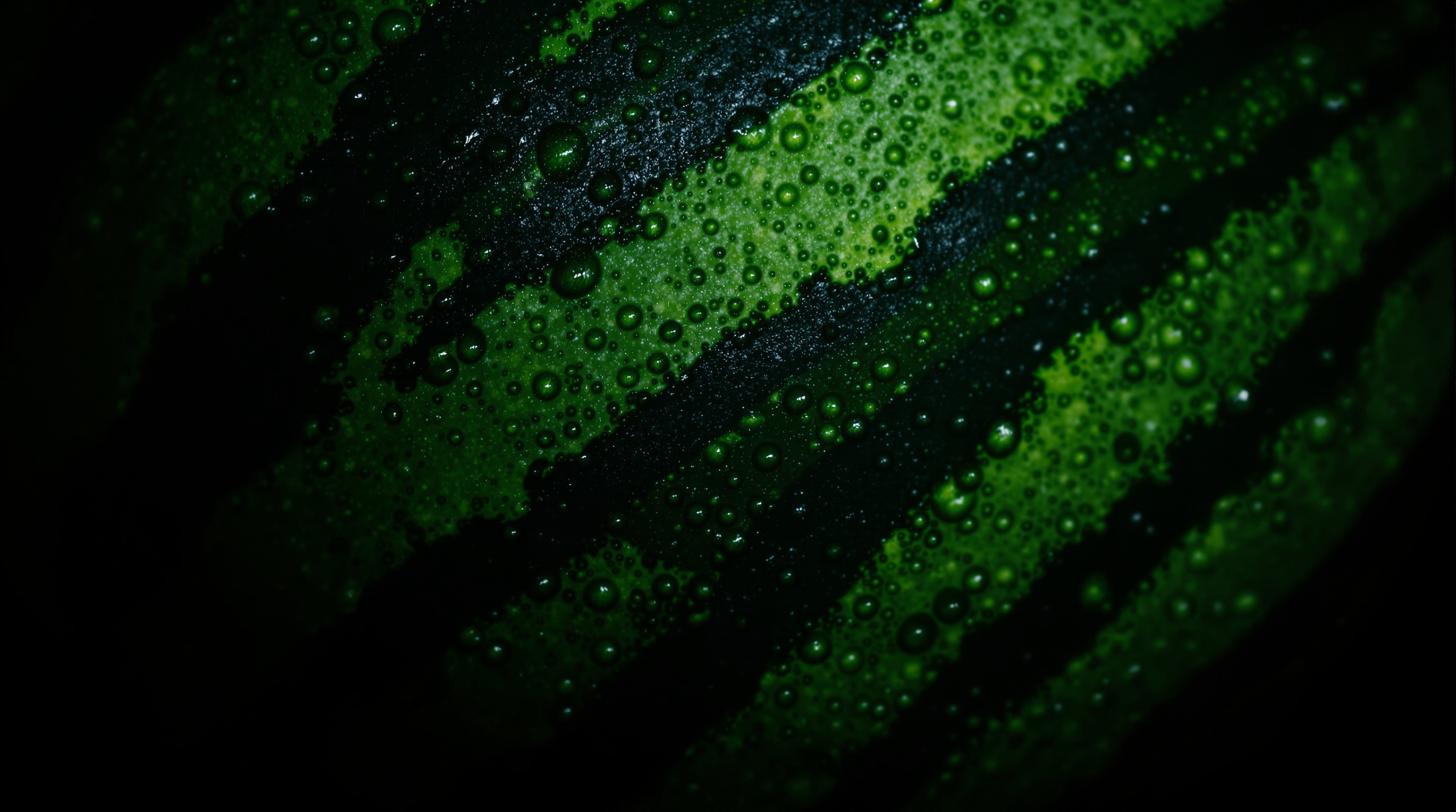51黑料吃瓜网 - 瓜皮纹理背景